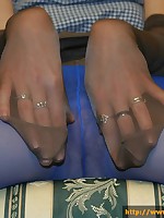 pantyhosecolors.com Pantyhose pics