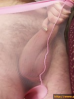 pantyhosecolors.com Pantyhose pics