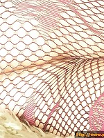 pantyhosecolors.com Pantyhose pics